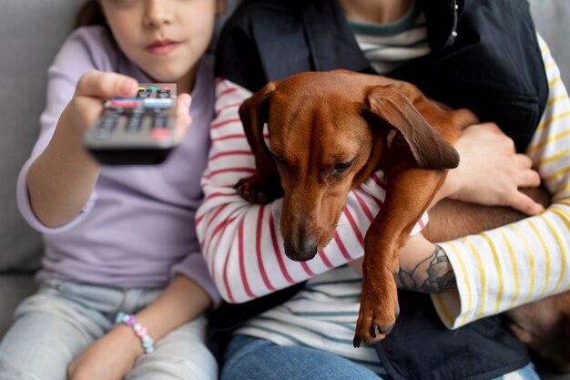 Cerca de hermoso perro salchicha pasar tiempo con la familia