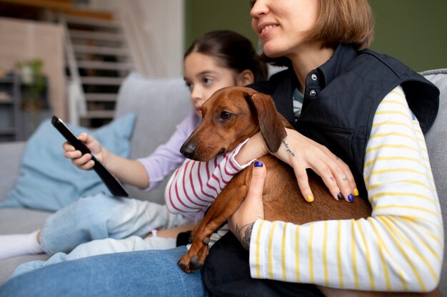 Cerca de hermoso perro salchicha pasar tiempo con la familia