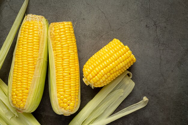 Cerca de maíz fresco listo para comer