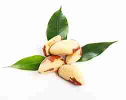 Todo lo que necesitas saber sobre el árbol de almendro indio 2 Todo lo que necesitas saber sobre el árbol de almendro indio