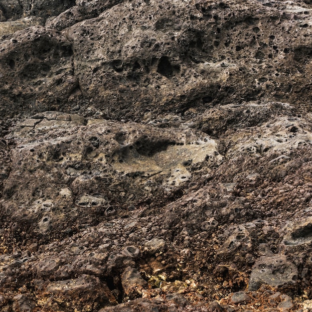 Cerca de rocas erosionadas por el mar