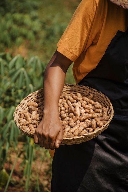 Cerca de trabajador de campo con maní