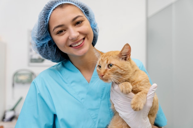 Cerca de veterinario cuidando mascota