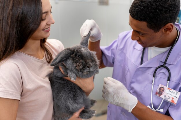 Cerca de veterinario cuidando mascota