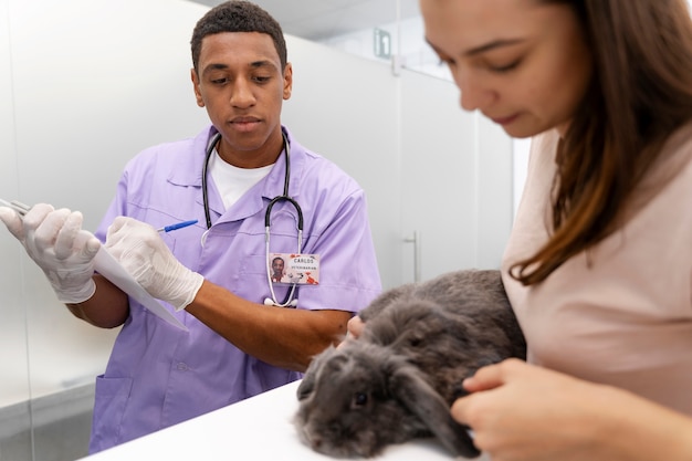 Cerca de veterinario cuidando mascota
