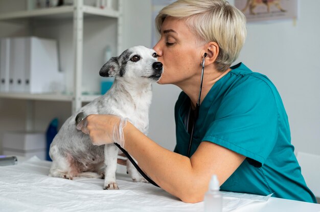 Cerca de veterinario cuidando perro