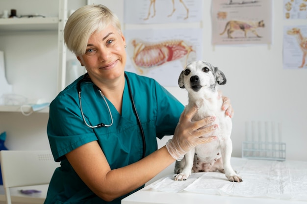 Cerca de veterinario cuidando perro