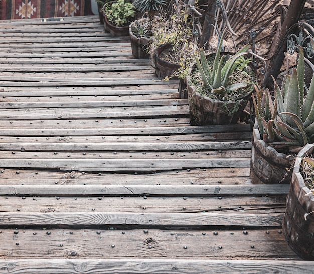 Cerca de viejas macetas de madera con plantas sobre escalones de madera