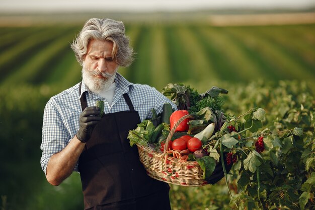 Cerca del viejo granjero sosteniendo una canasta de verduras. El hombre está de pie en el jardín. Senior en un delantal negro.