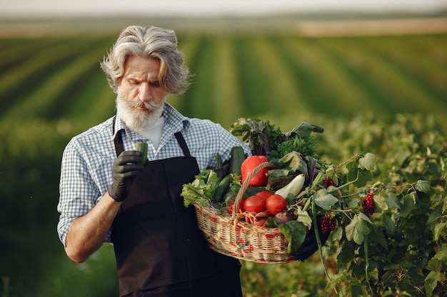 Cerca del viejo granjero sosteniendo una canasta de verduras. El hombre está de pie en el jardín. Senior en un delantal negro.