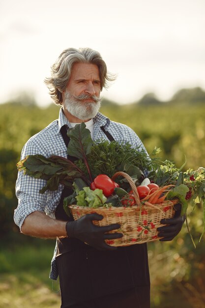 Cerca del viejo granjero sosteniendo una canasta de verduras. El hombre está de pie en el jardín. Senior en un delantal negro.