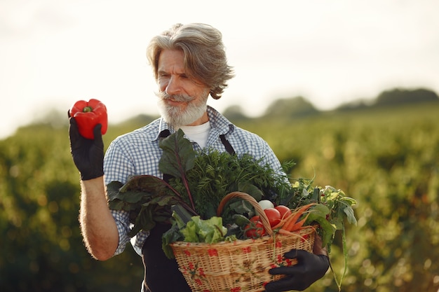 Cerca del viejo granjero sosteniendo una canasta de verduras. El hombre está de pie en el jardín. Senior en un delantal negro.