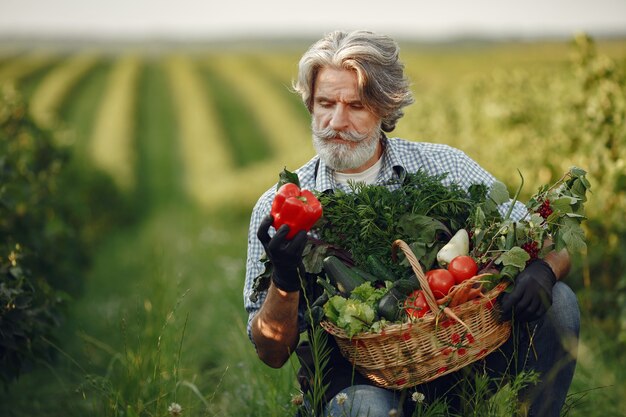 Cerca del viejo granjero sosteniendo una canasta de verduras. El hombre está de pie en el jardín. Senior en un delantal negro.