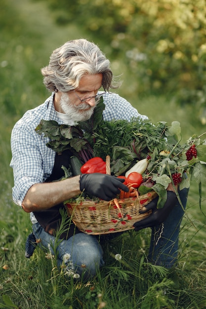 Cerca del viejo granjero sosteniendo una canasta de verduras. El hombre está de pie en el jardín. Senior en un delantal negro.