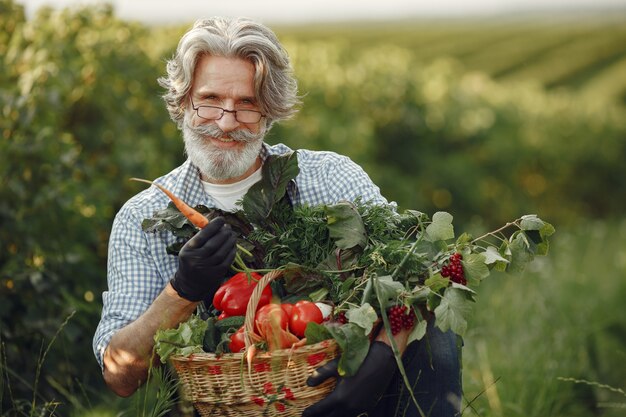 Cerca del viejo granjero sosteniendo una canasta de verduras. El hombre está de pie en el jardín. Senior en un delantal negro.