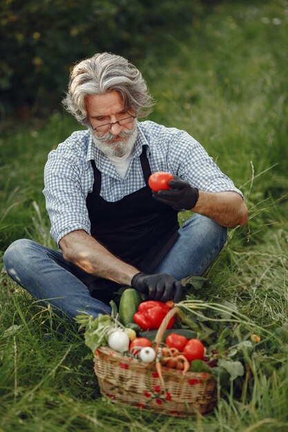 Cerca del viejo granjero sosteniendo una canasta de verduras. El hombre está de pie en el jardín. Senior en un delantal negro.