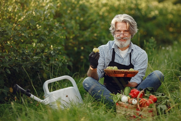 Cerca del viejo granjero sosteniendo una canasta de verduras. El hombre está de pie en el jardín. Senior en un delantal negro.