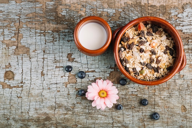 Foto gratuita cereales y leche cerca de la flor