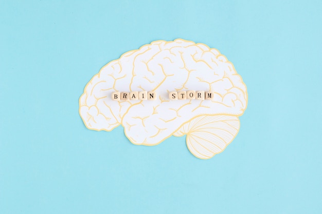 Cerebro tormenta bloques sobre el cerebro blanco sobre fondo azul