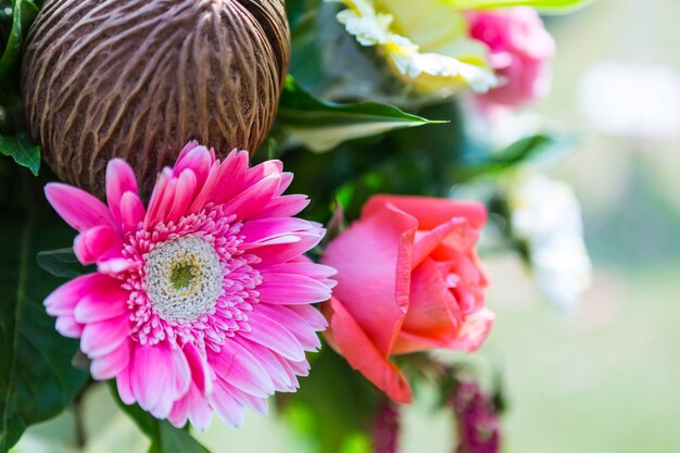 Foto gratuita ceremonia de la boda en un hermoso jardín