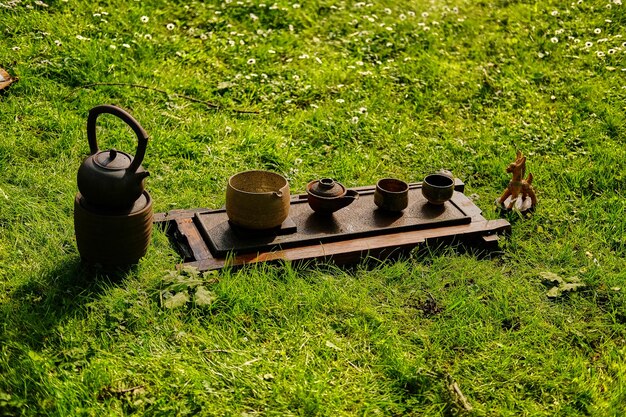 Ceremonia del té chino en un parque. Beber té al aire libre.