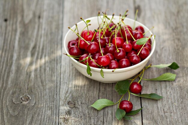 Cereza agria fresca en un bol