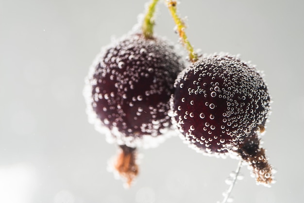 Foto gratuita cerezas con gotas de agua sobre fondo gris