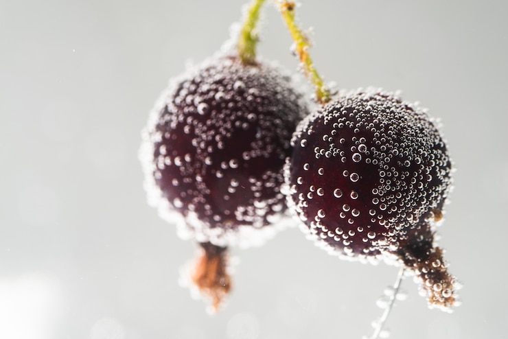 Foto gratuito cerezas con gotas de agua sobre fondo gris