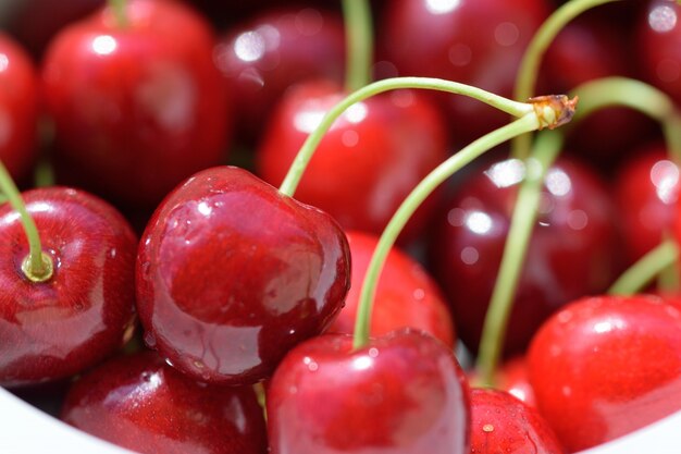 &quot;Cerezas maduras en tazón&quot;