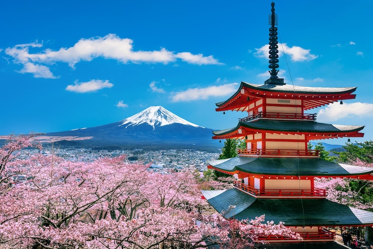 Foto gratuito cerezos en flor en primavera, pagoda chureito y montaña fuji en japón.