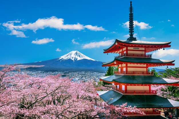 Cerezos en flor en primavera, pagoda Chureito y montaña Fuji en Japón.