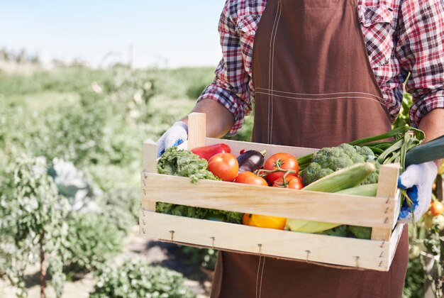 Cerrar al hombre vendiendo cultivos de su jardín