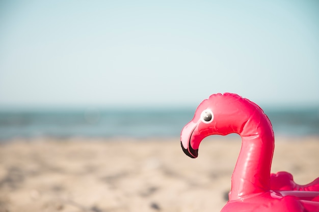 Cerrar el anillo de natación flamenco inflable en la playa