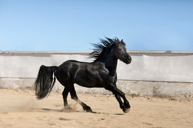 Cerrar a caballo en la naturaleza