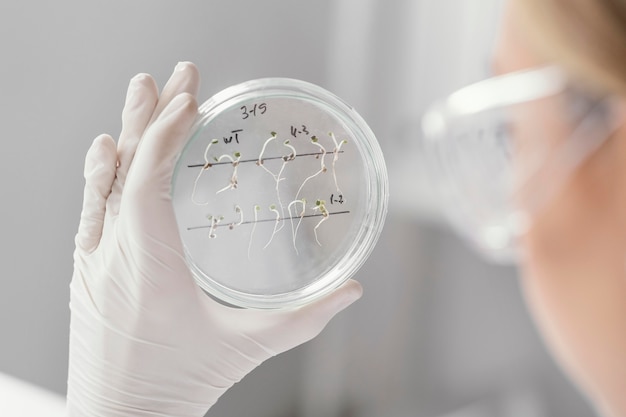 Cerrar científico sosteniendo placa de Petri