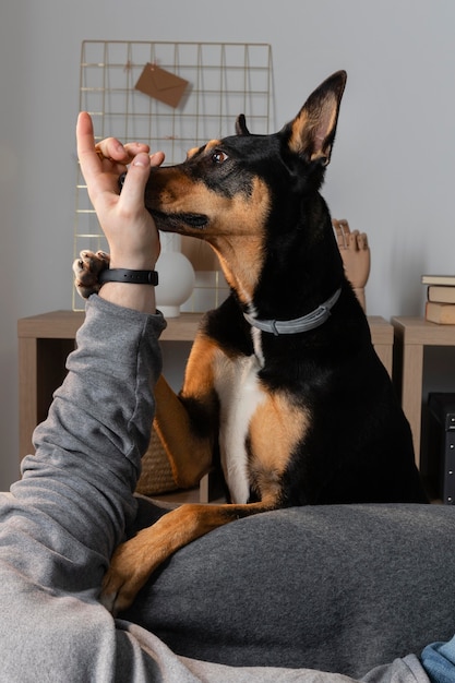 Cerrar dueño y perro jugando