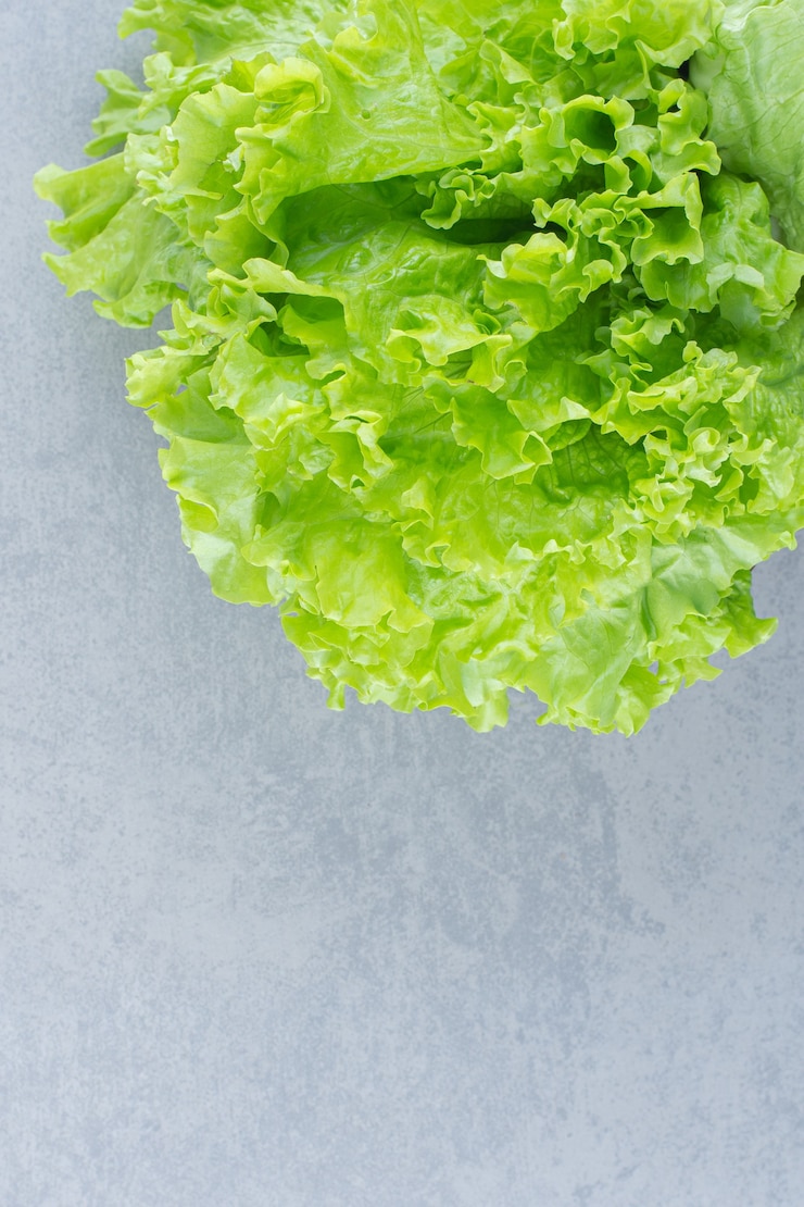 Foto gratuito cerrar foto de hojas de lechuga aisladas sobre fondo gris.