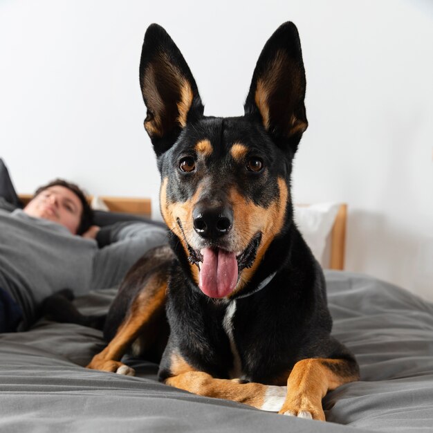 Cerrar hombre borroso con perro sonriente