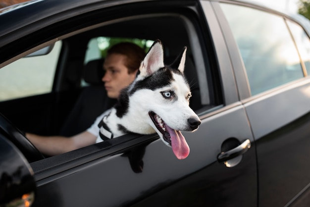 Cerrar hombre conduciendo con perro