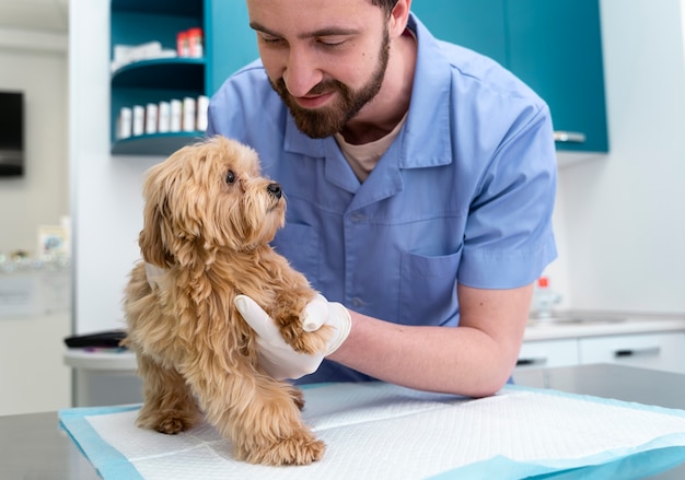 Foto gratuita cerrar hombre sonriente sosteniendo la pata de perro