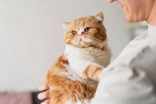 Foto gratuita cerrar hombre sosteniendo lindo gato