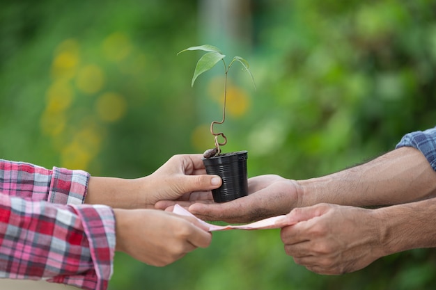 Foto gratuita cerrar imagen de cambio de moneda con plantas entre cliente y vendedor