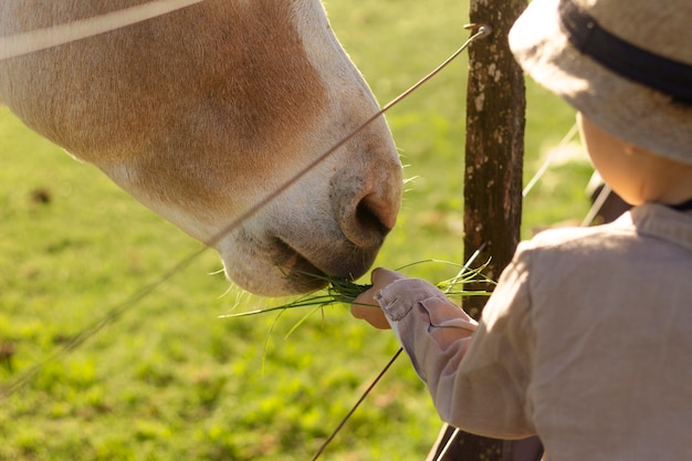 Cerrar kid acariciando a caballo