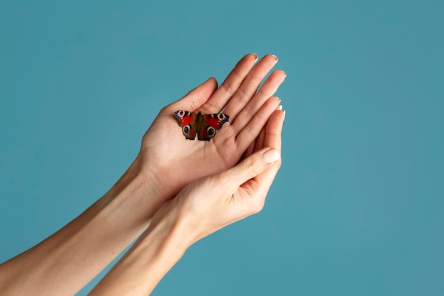 Foto gratuita cerrar en mano con mariposa