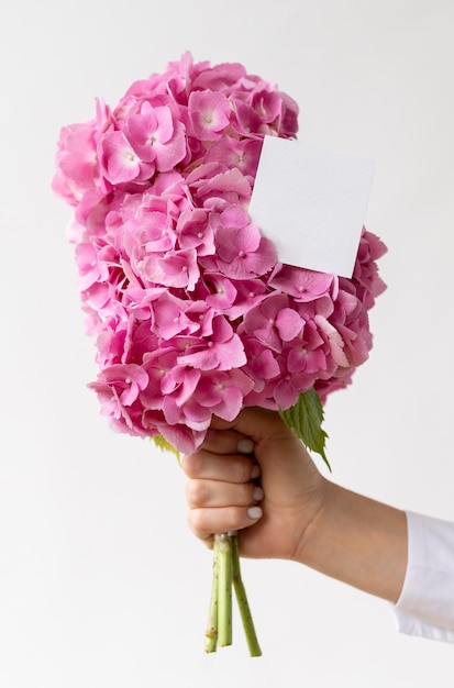 Cerrar la mano que sostiene el ramo de hortensias rosadas