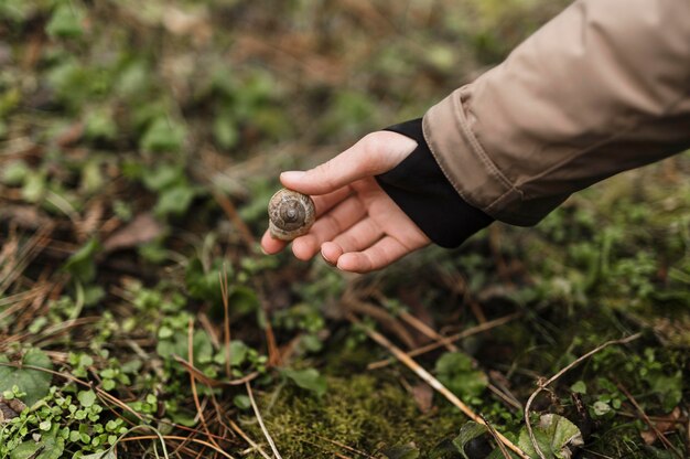 Cerrar mano sujetando concha de caracol