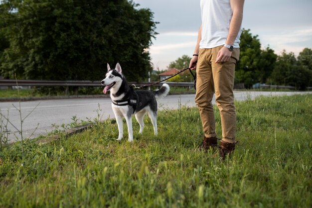 Cerrar mano sujetando la correa de husky