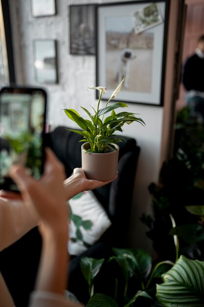 Cerrar la mano tomando la foto de la planta