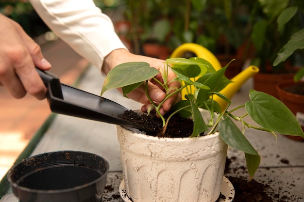 Foto gratuita cerrar manos jardinería