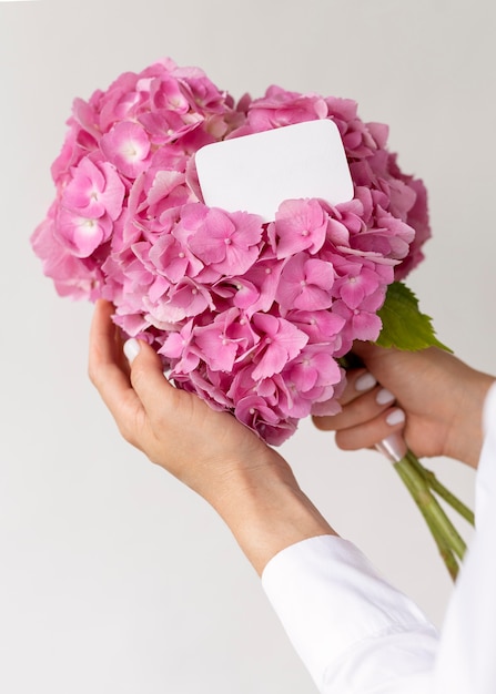 Cerrar las manos sosteniendo el ramo de hortensias rosadas